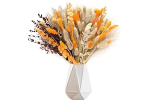 SONGJUM 105 PCS Fall Decor Autumn Decorations for Home Decor Fluffy Dried Flower Bouquet Table Boho Natural Flowers Dried Bunny Tails for Living room Decor Wedding Arrangement