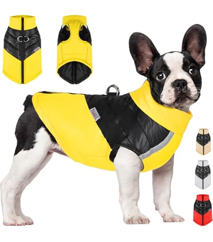 Winddichter Hundemantel Mit Reflektorstreifen | Warm & Wasserdicht Für Hunde S-XXXL