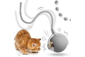 JIASHA Interaktives Katzenspielzeug Katzenball,Katzenball Elektrisch,Katzenspielzeug Selbstbeschäftigung,Katzenspielzeu Elektrisch,Powerball Katze,mit LED Licht,mit Seil,USB Wiederaufladbarer(B)