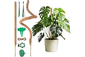 OUXAYAPL Monstera Rankhilfe 120 cm (2er Set) - Flexible Moosstab für Monstera aus Kokosfaser inkl. Zubehör und Pflanzenstütze für Kletterpflanzen im Innenbereich
