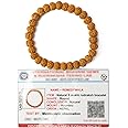 REMEDYWALA Original 5 Mukhi Rudraksha Bracelet With Certificate | Unisex Bracelet for both Men and Women