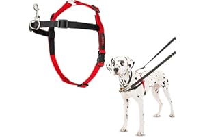 COMPANY OF ANIMALS Szelki kontrolne HALTI, Rozmiar M, Aby Twój pies przestał ciągnąć za smycz, lekka konstrukcja i wyściełane neoprenowe paski, średniej wielkości uprząż antyciągnąca dla psów