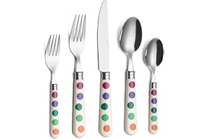 ANNOVA Juego de cubiertos de 20 piezas, servicio para 4 personas, juego de cubiertos de cocina de acero inoxidable con colores vivos