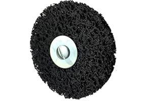 LEPIK 10 Stück Set Grobreinigungsscheibe Ø 50x6x13 mm mit Spanndorn CBS Clean Strip Disc
