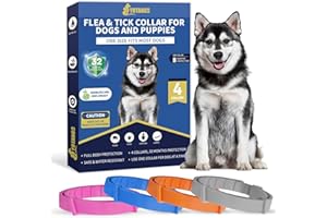 YOTANGO Collier Anti Puces pour Chien, 4 Pièces Collier Anti Puce Chien, Collier Chien Anti Puces Et Tiques, 32 Mois de Protection Collier Anti-Puce pour Tous Types de Chiens-Rose, Gris, Orange, Noir