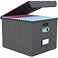 Portable File Organizer Box with Lids, Collapsible Linen Hanging Filing Storage Boxes with Plastic Slide, Decorative Home/Office Filling System for File and Folders Storage (Folders not included)