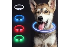 SONNIG 4 couleurs en 1 Collier Lumineux Chien, Collier Chien Lumineux avec Dégradé de Couleur, Rouge, Vert et Bleu 4 modes, Réglable Rechargeable, sans Danger pour Les Chiens de Toutes Tailles la Nuit