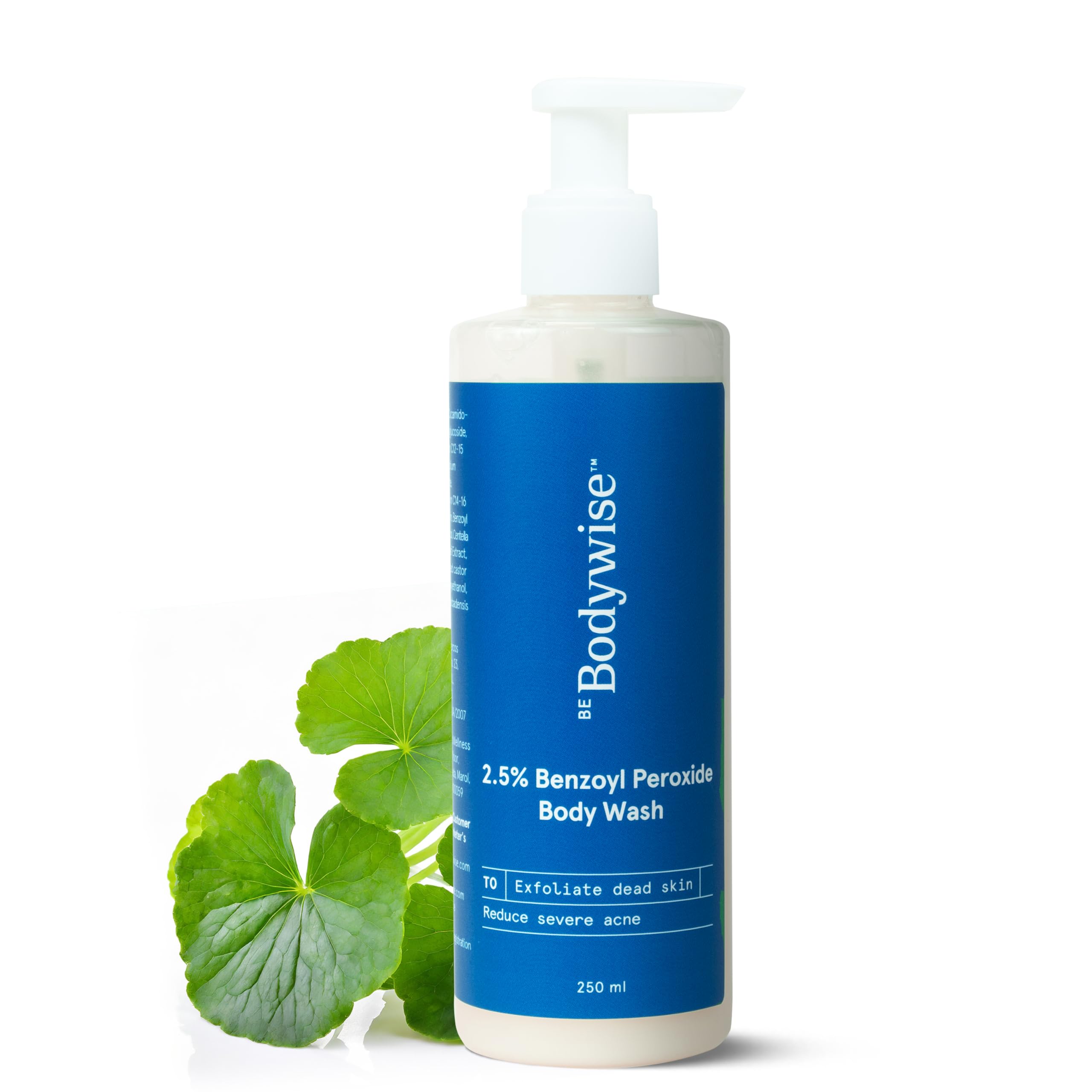 Be Bodywise Active Acne Body Wash 250ml | Clears Existing Acne & Prevents New Breakouts | With Centella Asiatica, Glycerin & 