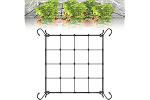Coffee Life Plus® Rete Scrog - Tenda per Piante Elastica, Supporto a Traliccio Con 4 Ganci - 40/60/90/120CM (40x40cm)