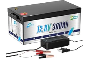 HRBEENERGY 12V 300AH LiFePO4 batteria, 3480Wh batteria al litio con caricabatterie, sicuro built-in BMS proteggere, 7000 + ricarica a ciclo profondo, ideale per RV/solare/marina/off-grid