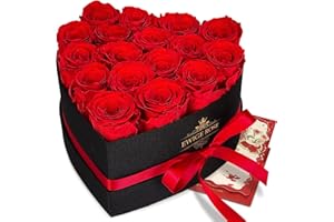 QHHENTOO 17 Infinity Rosen, Ewige Rot Rose Geschenke für Frauen, Konservierte Rose in Herzbox für Frauen Mutter zum Geburtstag Jahrestag Valentinstag Muttertag Weihnachten Hochzeitstag Rosenbox