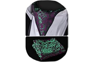 HISDERN Cravatta Ascot Uomo Cravatte E Fazzoletto Set Cravatta A Paisley Fiori Formale Matrimonio Elegante Cravatta Jacquard Sciarpa Ascot Uomo