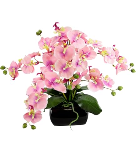 Kunstbloemvlinderorchidee Met Bladeren En Luchtwortels In Een Pot Van Keramiek Kunstbloem Kunstorchidee Phalaenopsis Met Plantenbak Kunstplant Huwelijksdecoratie Zijden Bloem Echte Bloesem