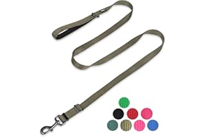 Hyhug Pets Adjustable Length Lead with Super Soft Neoprene lined Handle for Large Medium Dogs Walking, Professional Training (Large, Military Green)