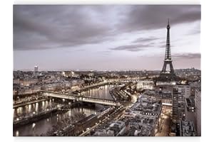 murando - Carta da parati Paris Parigi 400x280 cm Fotomurali in TNT Murale alla moda Decorazione da Muro XXL Poster Gigante Design Carta per Pareti Citta City Eiffel Tower d-B-0207-a-c