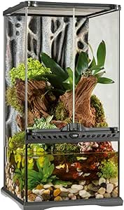 exo terra terrarium amazon