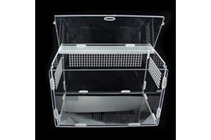 Magent Boîte d'alimentation D'insectes Terrarium Phasme Terrarium pour Reptile Amphibien Boîte Transparente D'Reptiles en Acrylique 33x18x20cm
