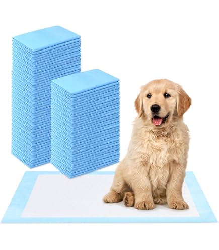 60x60 cm 200 x Honden Trainingsmatjes Super Absorberende 6-Lagen