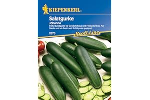 Kiepenkerl Profi-Line Salatgurkensamen Johanna 2670 - Frühe Landgurke für Gewächshaus und Freilandanbau - Gemüsesamen, Saatgut, Gemüse Pflanzen, Gurke