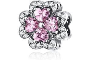 LNQOBU 925 Sterling Silver Charms for Bracelets and Necklaces Pendants Beads Mother's Day Charms Jewelry Gift for Women Girls