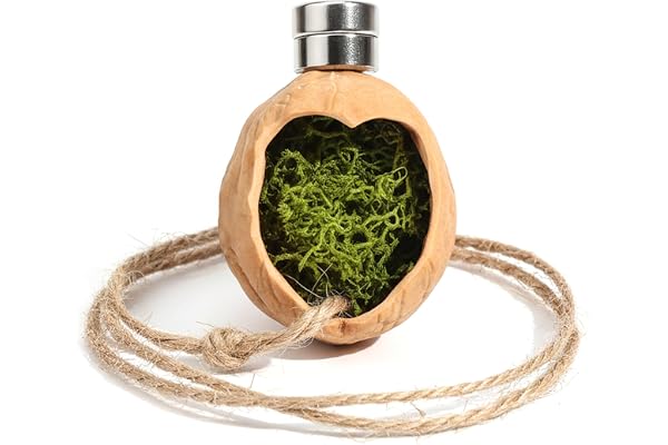 StaZamor Förtjusande hjärtformad hoppande spindel gömställe med magnet och rep, berikningsdekoration tillbehör för spindelhölje, söt terrariumdekor