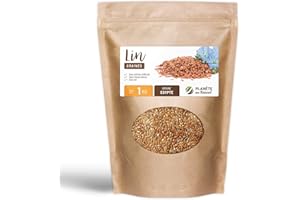 PLANÈTE AU NATUREL Graine de Lin - 1 kg - Sachet