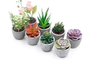 Zyluniy Plantas Suculentas Artificiales, 8pcs Plantas Pequeñas Decorativas, Verdes Planta Falsa con Maceta, Falso Plantas Decorativas Suculentas para Mesa de Despacho Baño Hogar Decoración