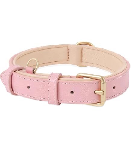 Merkloos / Sans marque Honden halsband voor de Middelgrote