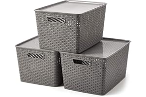 EZOWARE 20L Scatole portaoggetti decorative con coperchio, cestino impilabile in plastica - Grigio Set de 3