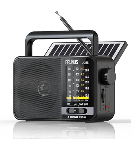 Grundig Eton Digital G8 Radio (NG8B Compact 4 Band World Time