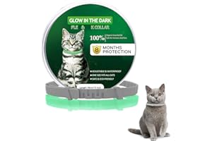 WEALLIN Glow Cat Collars, Luminous Cat Safety Collar for Kittens Small Medium Large Cats Outdoor Indoor, Adjustable Cat Collar Soft, Cat Collars with 8 Month Protection Grey
