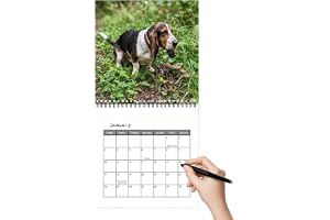 2027 Väggkalender spiralbunden planering pappersplanerare | Årlig väggkalender 2027 för sovrum vardagsrum arbetsrum skrivbord