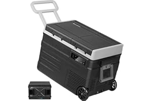 ELECAENTA Kit frigorifero e batteria per auto - Nero