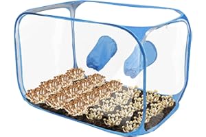 NBBWWU Boîte à air statique, boîte à air pour culture de champignons, conteneur de culture de champignons, sac de plantation, station de propagation de tente de champignon, kit de tente de culture de