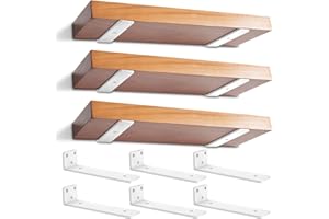 6 Stücke Regalhalterung Regalträger 25cm, Industrielle Regal Wandhalterung, Wandregal Halter mit Befestigungsschrauben für Wandanbringung DIY offenes Regal (Weiß) 10in