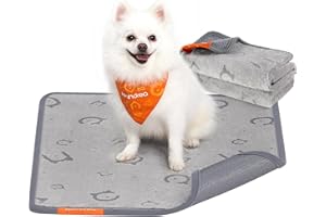 Feandrea Hundedecke, 2er Set, Wiederverwendbare Hundematte, 61 x 46 cm, S, wasserdicht, auslaufsicher, rutschfest, saugfähig für Hunde, Katzen, Kaninchen, Taubengrau PTD001G01