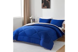 beeweed Piumino 4 Stagioni Letto Singolo 155x220, Reversibile Piumone Autunnale Invernale 155 x 220 - Trapunta 220x155, Microfibra Sintetica 300 GSM, 2 Federe(50x80cm)