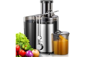 QCen Entsafter, Zentrifugal-Entsafter mit 3-Zoll-Einfüllschacht, leicht zu reinigen, Edelstahl, BPA-frei, ideal für Obst und Gemüse (Sliver, 800W)