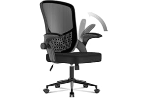 naspaluro Ergonomischer Bürostuhl, Schreibtischstuhl mit 90° Klappbaren Armlehnen, Einzigartige Lendenwirbelstütze, Atmungsaktive Mesh-Polsterung für das Heimbüro, Studie, Schwarz