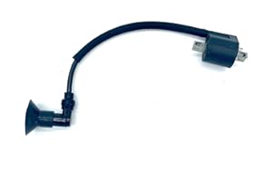 Apache RLX 100cc Quad Ignition Coil with HT Lead and Spark Plug Cap Compatible with Quadzilla 100cc, Polaris 90cc 100cc, Aeon Cobra 100cc 110cc, Hornet 100cc & Dolphin 100cc Quad Bike ATV