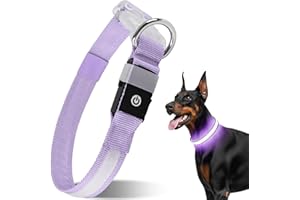 CAWJUG Light Up Dog Collar Rechargeable, Flashing Dog Collar 3 Glowing Modes, LED Dog Collar with Adjustable Soft & Airy Strap for Small to Large Dogs (Purple, S)