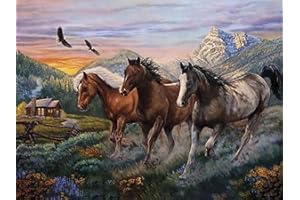 Hoobee DIY 5D Diamond Painting Kit Completo Caballo Sierras, Punto De Cruz Pintura Libre Animal De Diamante Completo Bordado Cristal Diamante Decoración De La Pared Del Hogar 30x40 cm