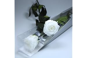 GDECORA Rosa Eterna Preservada de Color Blanco con Tallo 55cm Mujer,Mamá,Novia,Abuela- Flores Infinita para Cumpleaños Sant Jordy y Día de la Madre - Rosas Preservadas de Ecuador Premium