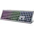 Zienstar-Full Size Wireless Bluetooth Keyboard Rechargeable,Multi-Device (BT5.0+BT3.0+2.4G),Silent Click,RGB Backlight-Gray Black