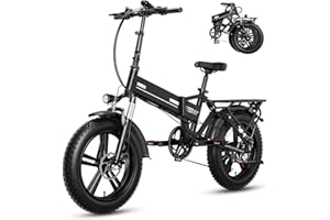 HiQiS Bicicletta Elettrica Pieghevole, 20"×4.0" Fat Tire 7 Velocità, Rimovibile 48V 15AH Batteria, Autonomia di 50-100 KM, Doppia Sospensione, All Terreno Ebike per Adulto