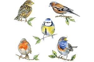 20 Ambiente pappersservetter "Bird Art White" vintage bordsdekoration med motiv även för fest eller decoupage 33 x 33 cm