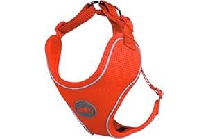 DDOXX Pettorina Cane, Riflettente, Imbottito, Regolabile | Tanti Colori e Taglie | Per Cani Piccoli Medi Grandi | Imbracatura Gatti Cuccioli Gatto Piccola Media Grande | Arancione, L
