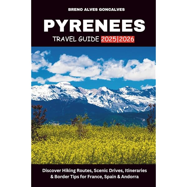 The Rough Guide to Pyrenees [Lingua Inglese]: Fourth Edition