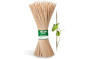 Novatool 100 varillas de 50 cm x 5 mm I Naturaleza I Varillas de bambú para plantas de bambú
