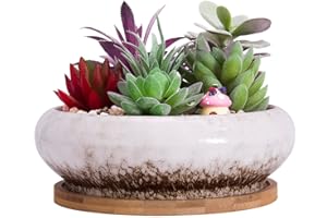 ARTKETTY Maceta para suculentas, Maceta grande de bonsái de 18,5 cm con Bandeja de cerámica para suculentas con Agujero de Drenaje, macetas Poco Profundas para Cactus para Plantas de